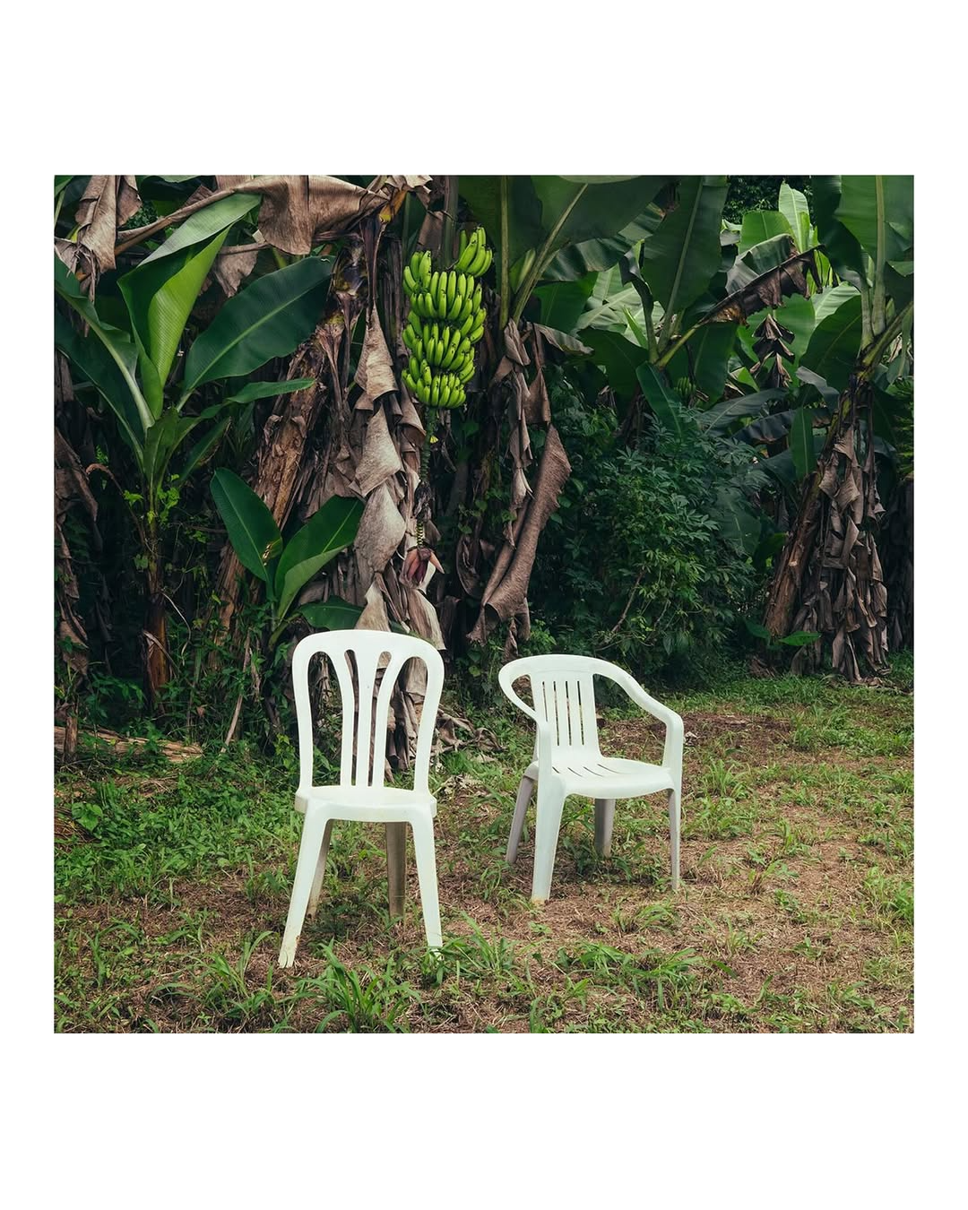 The Cultural Comfort Between Asia and Latin America