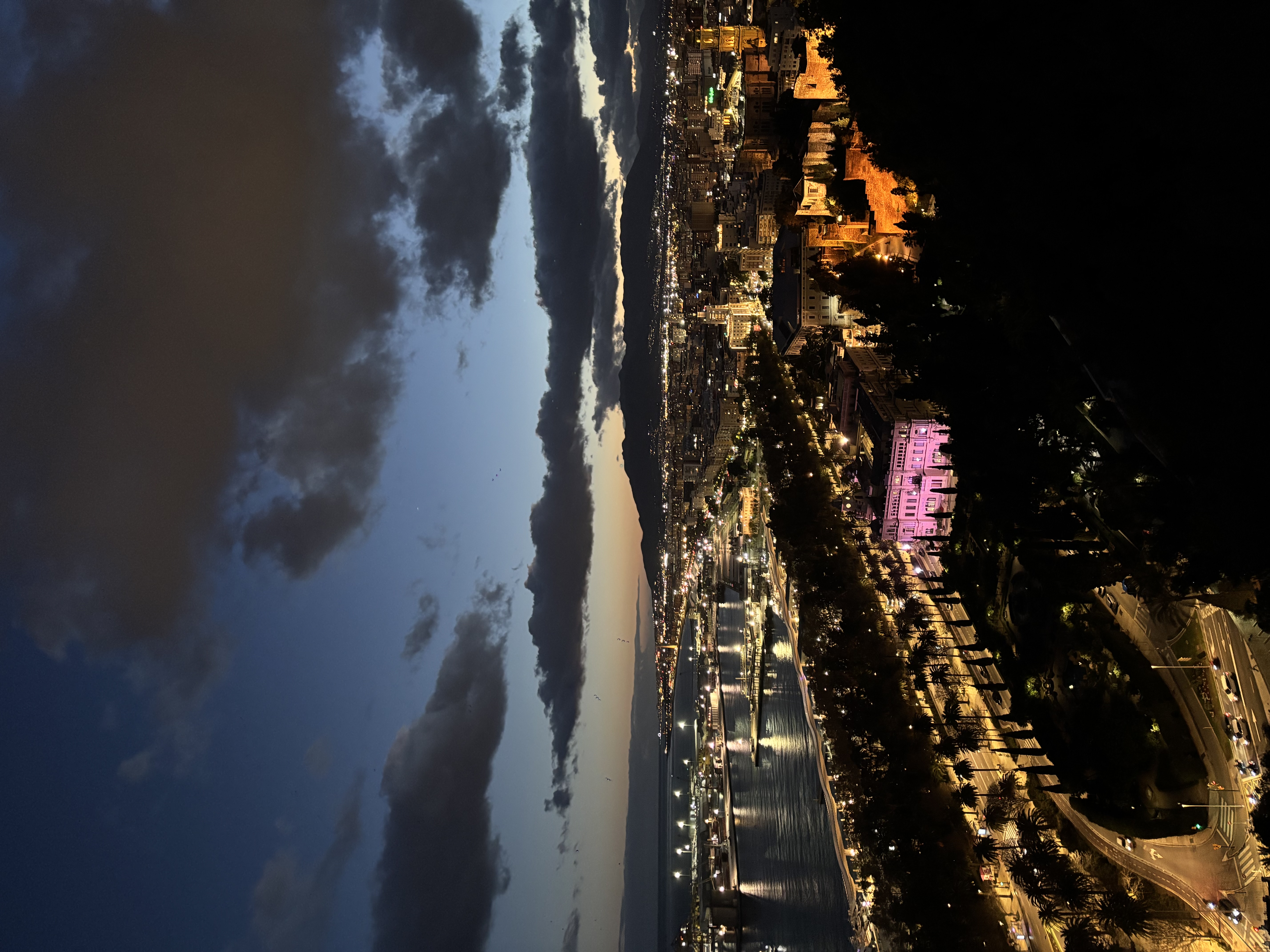 Grilled octopus with purée at a restaurant in Málaga